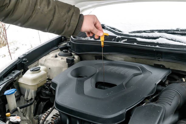 How to Check Transmission Fluid: Step-by-Step Guide - TERZO