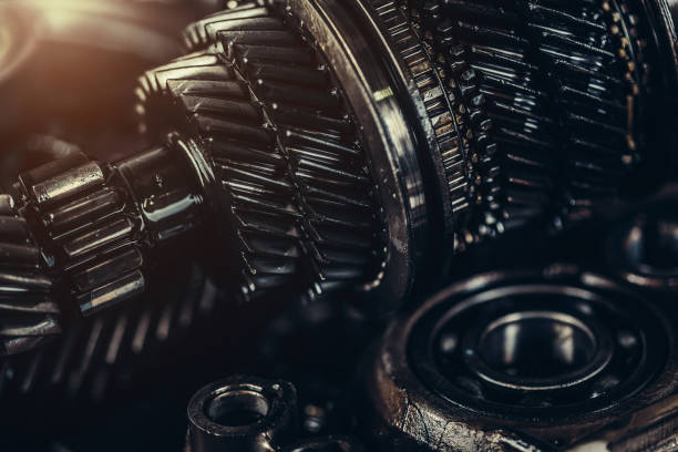 How to Choose the Right Gear Oil